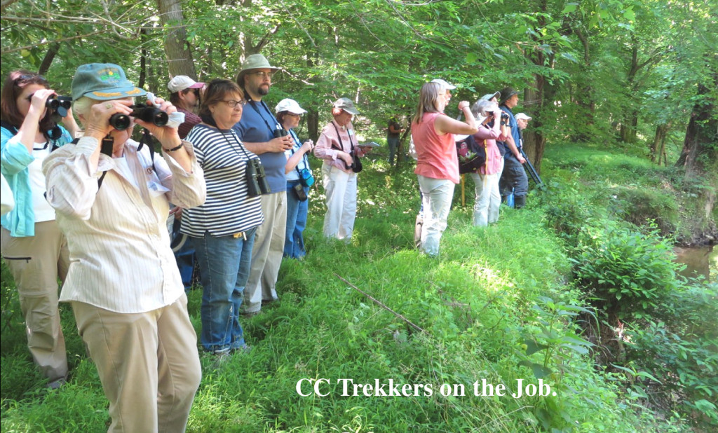 The Christina Conservancy held a Bioblitz to explore the Whitewood Natural Area and New Castle County Park on June 7.